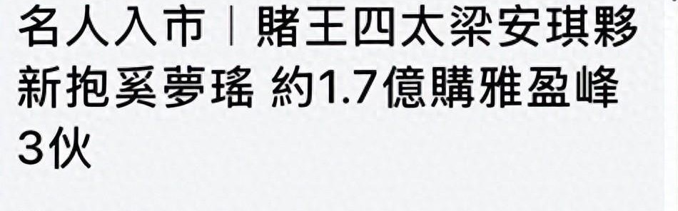 世界杯手机高清观看软件-梁安琪带奚梦瑶扫货豪宅，同层豪掷1.68亿，拿下三套李泽楷新楼盘