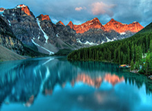 世界杯比赛在线观看平台-澳网男女单四强出炉 德约科维奇将迎战辛纳