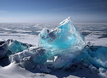 世界杯比赛在线观看平台-澳网男女单四强出炉 德约科维奇将迎战辛纳